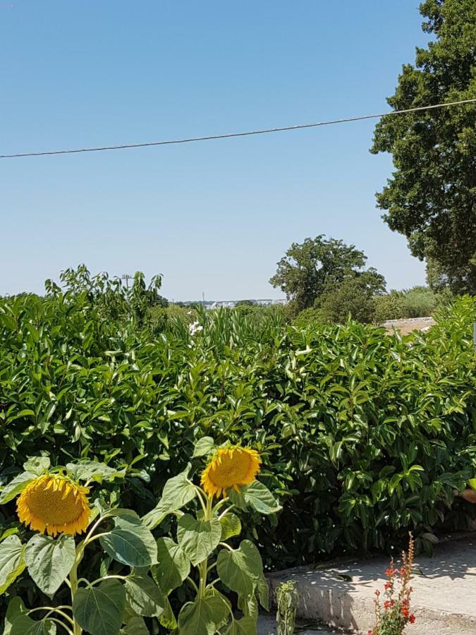 Trulli Della Masseria Staffone Alberobello Buitenkant foto